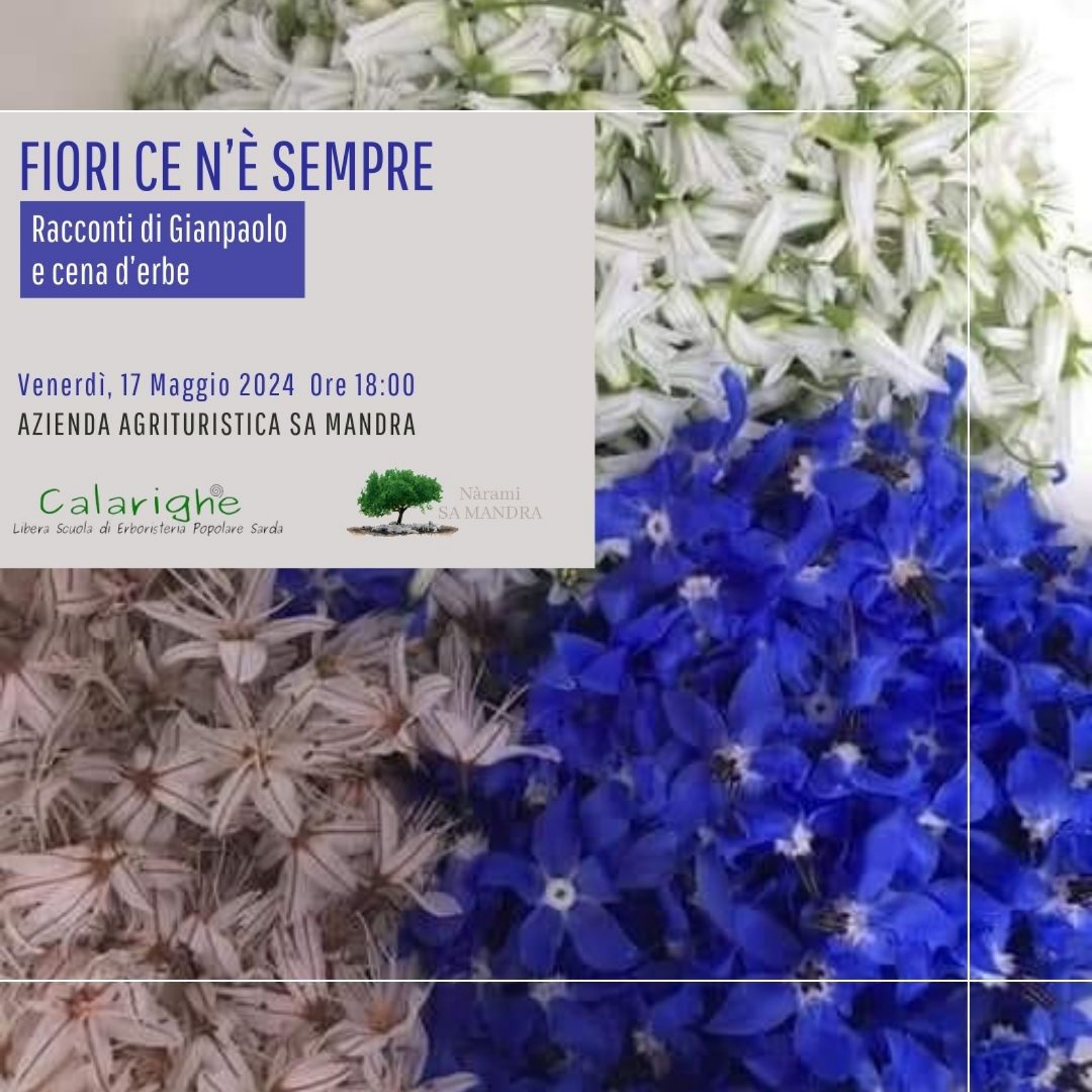 Racconti di Gianpaolo e cena d’erbe