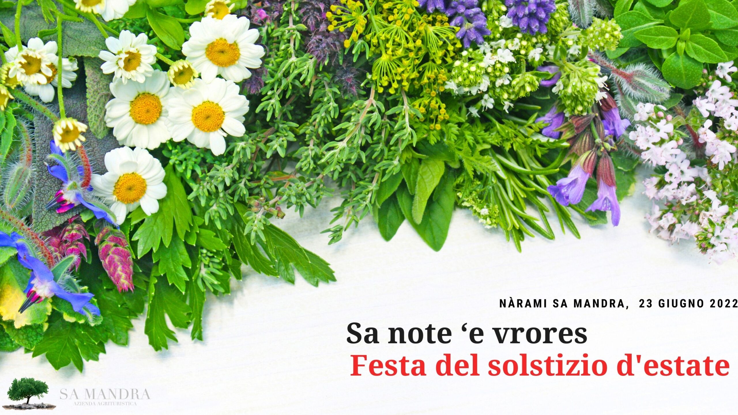 Sa note ‘e vrores locandina