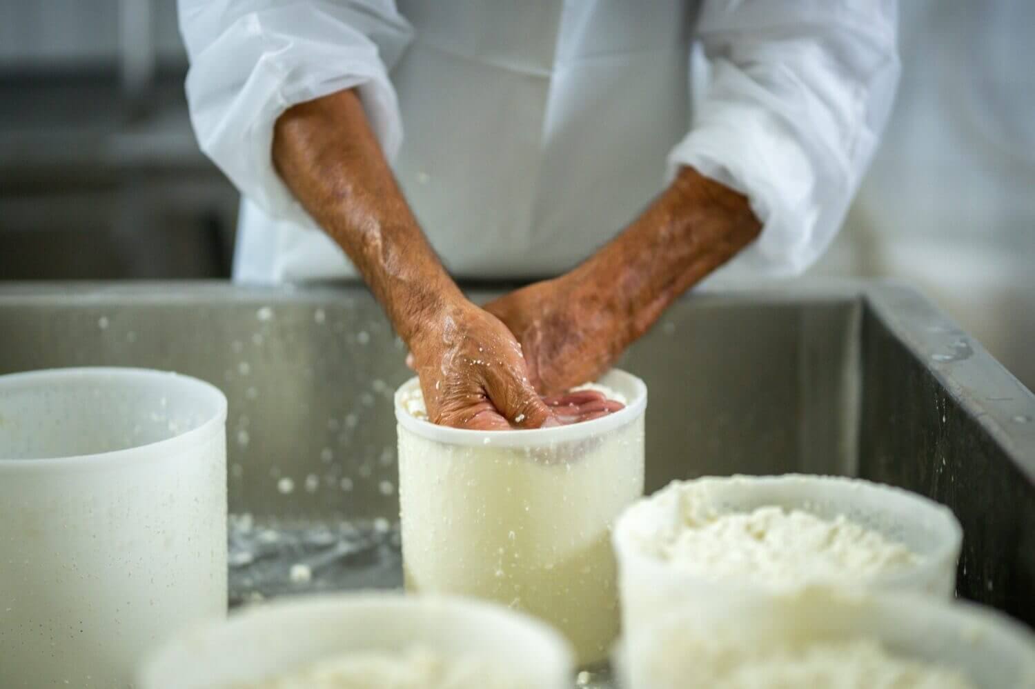 tour-pecorino-gallery-00002