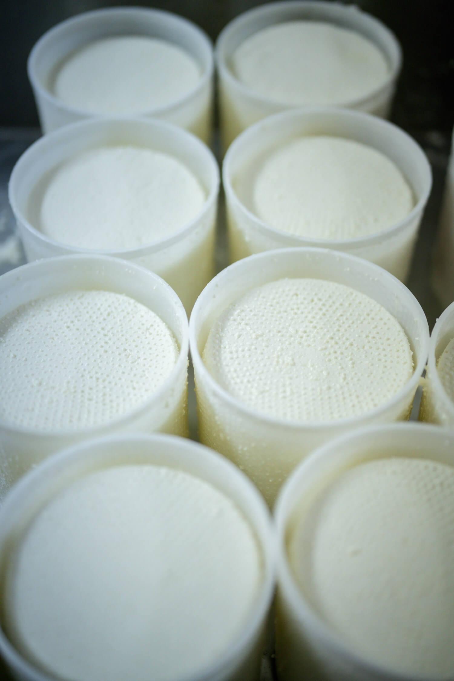 tour-pecorino-gallery-00004